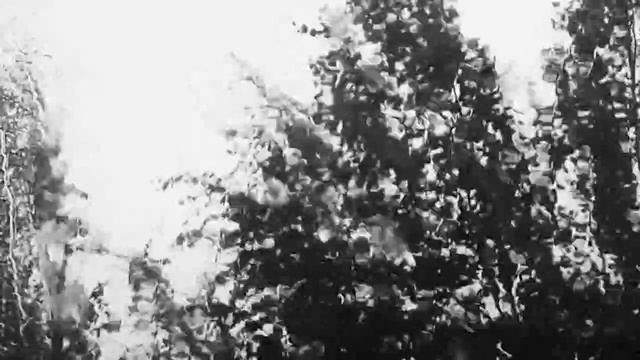 Бег.mp4