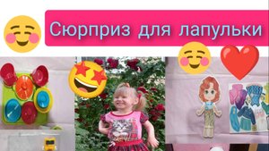 Сюрприз  для лапульки  распаковка с вайлдберрис