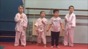Посвящение в каратисты