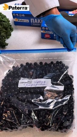 ZIP пакеты со слайдером для хранения и замораживания продуктов PATERRA, 27 х 26 см, 3 л, 15 шт