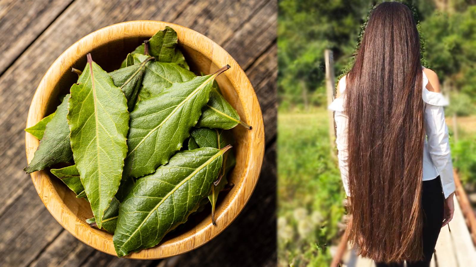 ЛАВРОВЫЙ ЛИСТ СПАС ОТ ОБЛЫСЕНИЯ ! Густые длинные волосы ДАЖЕ В 70 ЛЕТ! смотреть онлайн