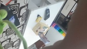 20250725_182227.mp4