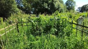 ЦЕРКОВЬ УСПЕНИЯ ПРЕСВЯТОЙ БОГОРОДИЦЫ.
Бежицы, Бежецкий район.