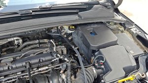 Ford Focus 3 2012 г.в.mp4