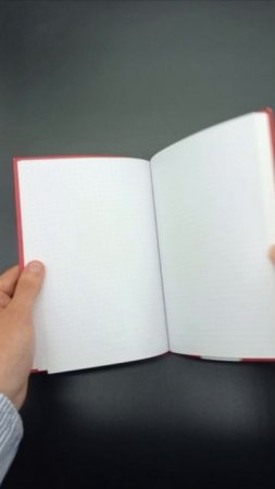Блокнот в точку. Агент Кремля (А5, 64 л.)