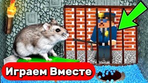 МАНЙКРАФТ ТЮРЬМА ДЛЯ УМНОГО ХОМЯКА 🐹 ВЫБИРАЕМСЯ ВМЕСТЕ ИЗ БОЛЬШОГО МАЙНРАФТ ЛАБИРИНТА