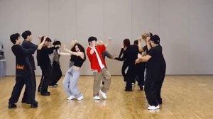HOSHI X WOOZI (SEVENTEEN) - STUPID IDIOT Dance Practice Mirror