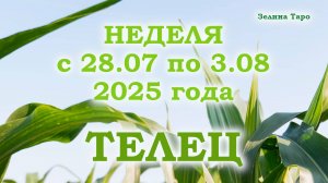 ТЕЛЕЦ | ТАРО прогноз на неделю с 28 июля по 3 августа 2025 года