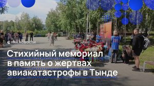 Стихийный мемориал в память о жертвах авиакатастрофы в Тынде