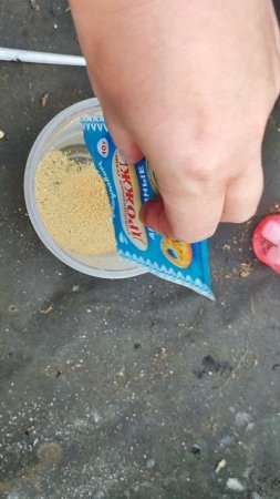 ОГУРЦЫ ВНОВЬ ЗАПЛОДОНОСЯТ и ДАДУТ УРОЖАЙ ТОННАМИ, СРОЧНО ДАЙТЕ ЭТО!