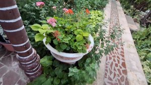 25-07-2025 Раннее ранее утро, 🌄 всех кормлю