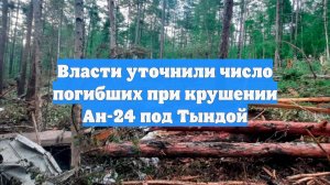 Власти уточнили число погибших при крушении Ан-24 под Тындой