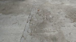 богатый против Бедного