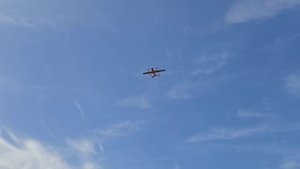 video_2025-07-03_09-08-51_edit