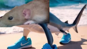 новый брейнрот