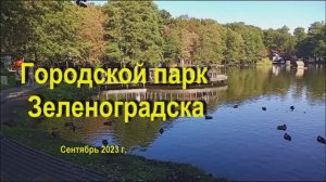 Городской парк Зеленоградска Сентябрь 2023 г.