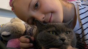 как завести кошку ?