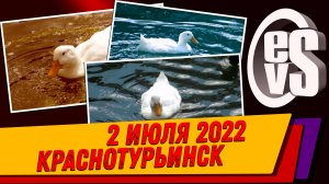Краснотурьинск (2 июля 2022)