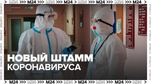 Больше половины случаев заражения штаммом коронавируса "Стратус" зафиксировано в Москве - Москва 24