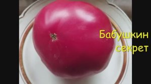 ТОМАТЫ. Крупноплодные сорта томатов.