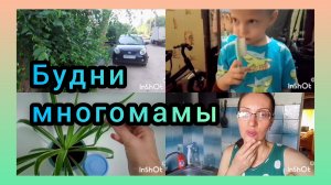 С утра в детский сад/Поливаю Цветы/Ремонт Продвигается