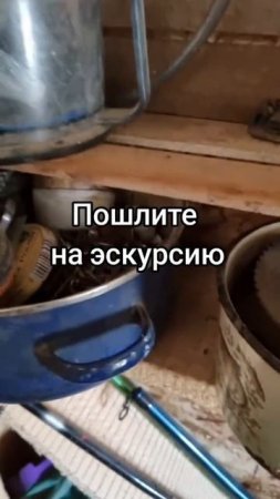 Архивное видео #уралочка