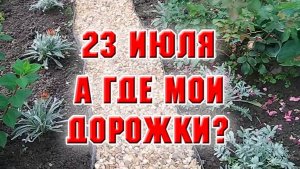 23 июля. А где мои дорожки?