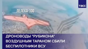 Дроноводы "Рубикона" воздушным тараном сбили беспилотники ВСУ