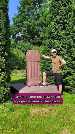 У ЗакСа города Пушкина стоит загадочный гранитный пень.