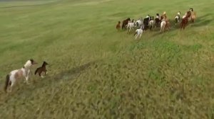 Донской край