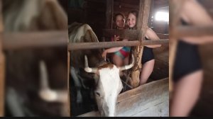 Солнце , море  и… коровы ? Влог-сказка  после отпуска! ✈️