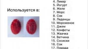 Хайповые розовые бургеры не подходят для мусульман и вегетарианцев — в них есть краситель кармин