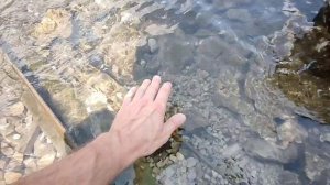 Абхазия Экскурсия Озеро Рица Цены Река Гега Водопады Голубое озеро Горы Каньон Юпшара 24 июля 2025 г