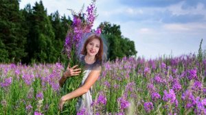 Лекарственные травы. Иван чай цикорий, донник, клевер. Собираем в июле.