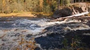 Уксунйоки на пакрафтах (сентябрь 2020)