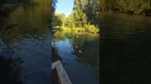 2025.07.24 Моржеание. Дентропарк Нововятска.