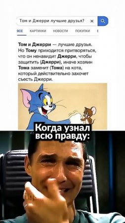 Вся правда про Том и Джерри 💔