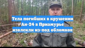 Тела погибших в крушении Ан-24 в Приамурье извлекли из-под обломков