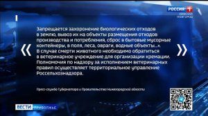 Хоронить животных в земле теперь запрещено