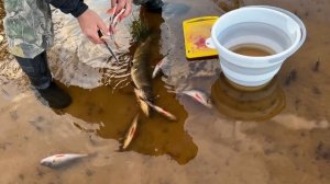 Путешествие на озеро Арантур