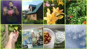 Ищу летние штаны) Заготовки. Находки в Чижике. Дача. Потоп в Москве! 30/2025