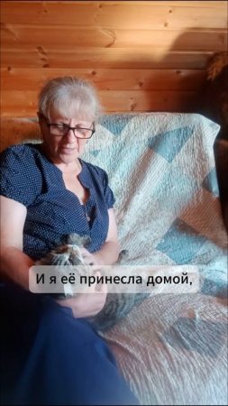Мяуська обрела дом.