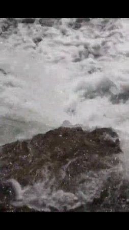 вода   вода   вода
