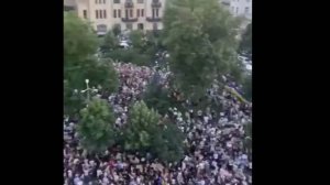 Депутат Дмитрук: Протесты на Украине выгодны Западу, чтобы заменить Зеленского