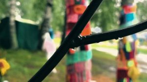 Едем на фестиваль активного долголетия. 19.07.2025 г