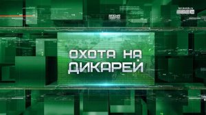 «Охота на дикарей»: любители экосистемы