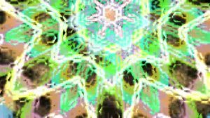 Айваска с Беном Челеро 2011