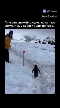 vkclips_20250723023014