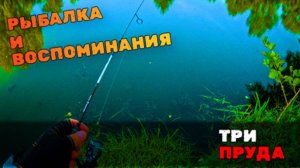 Старые пруды как напоминание о детстве. Дачный байкфишинг