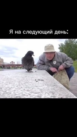1000258028.mp4